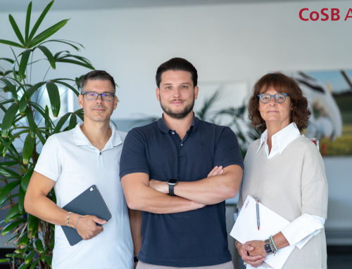 Resilienz – mehr als ein Modewort im heutigen Zeitgeist